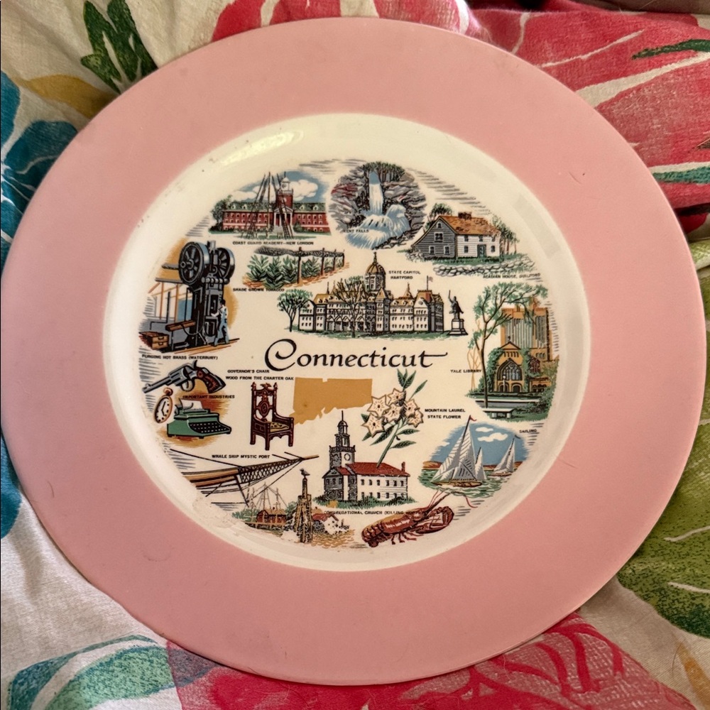 Vintage Connecticut Souvenir Decorative Pink Rim Plate marked on back 9.25”